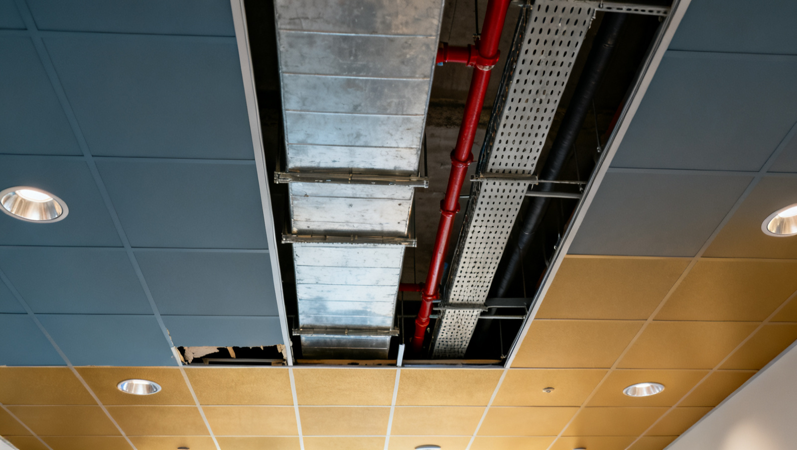 Looking up into an open ceiling void showing ductwork, cable tray and sprinkler pipework